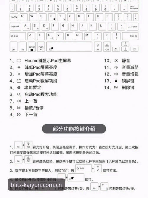专业统计 kaiyun官方网专业统计功能使用教程,从新手到老手的完整指南